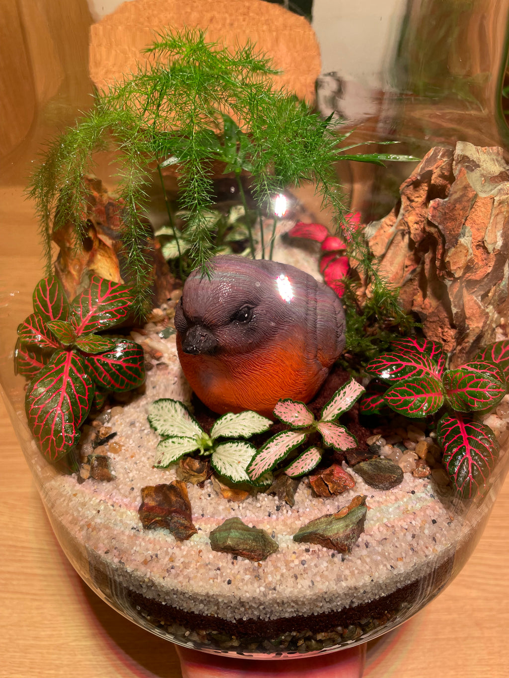Little Red Robin Terrarium