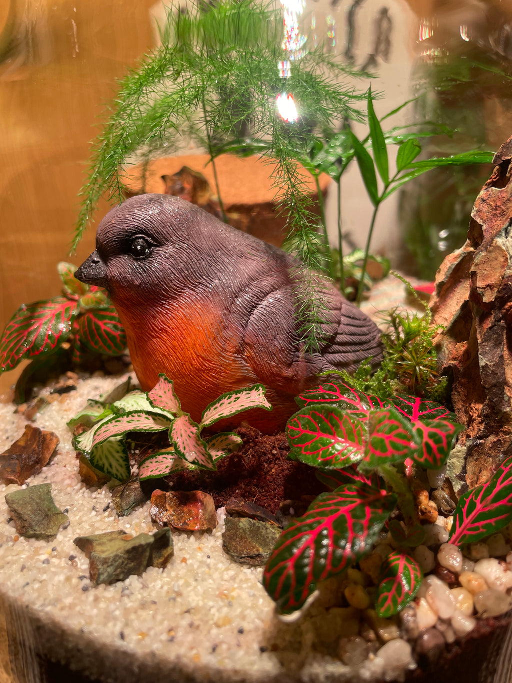Little Red Robin Terrarium