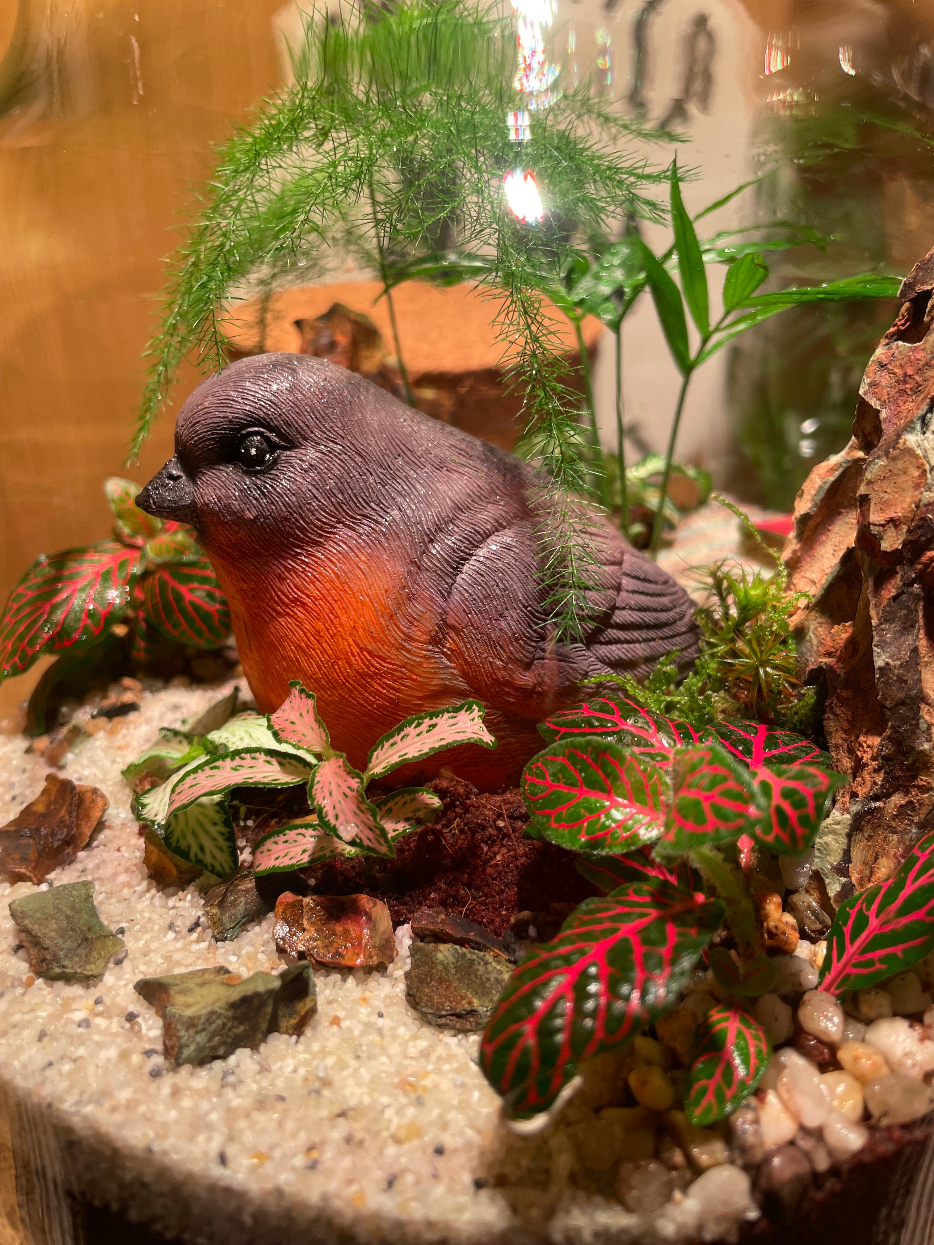 Little Red Robin Terrarium