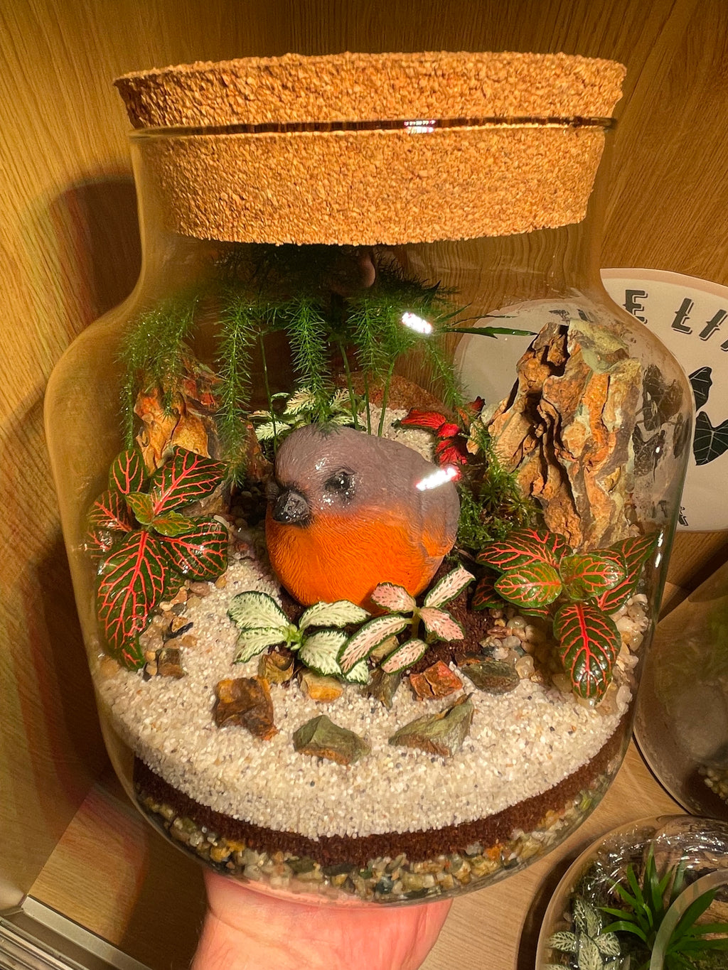 Little Red Robin Terrarium