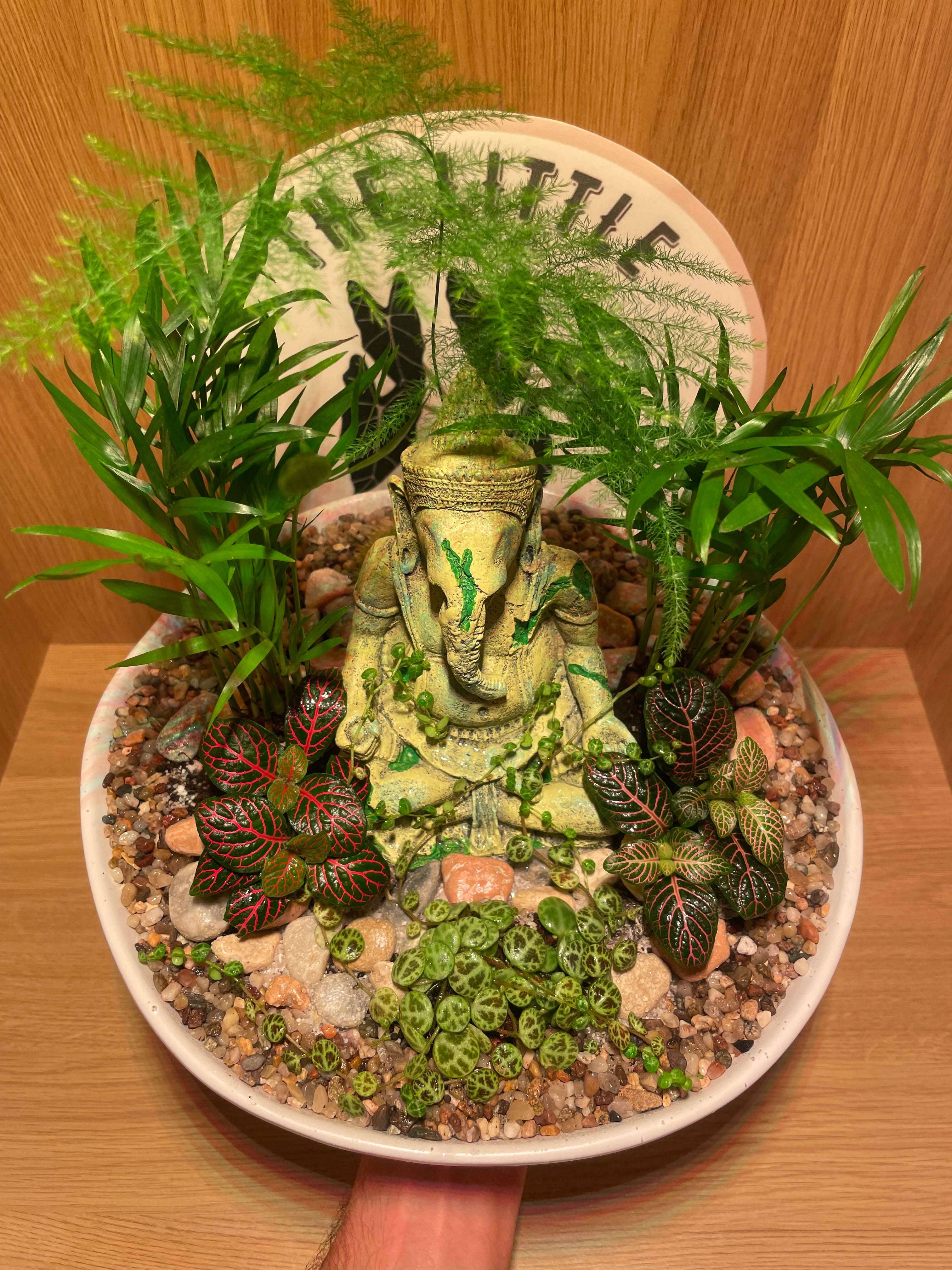 Ganesha Bowl