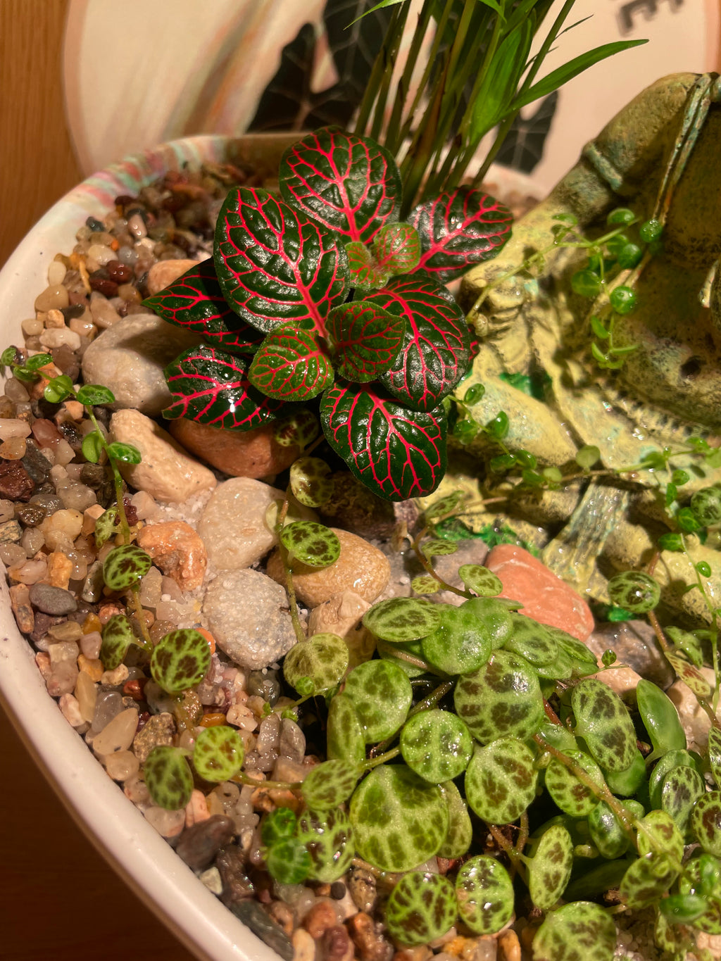 Ganesha Bowl
