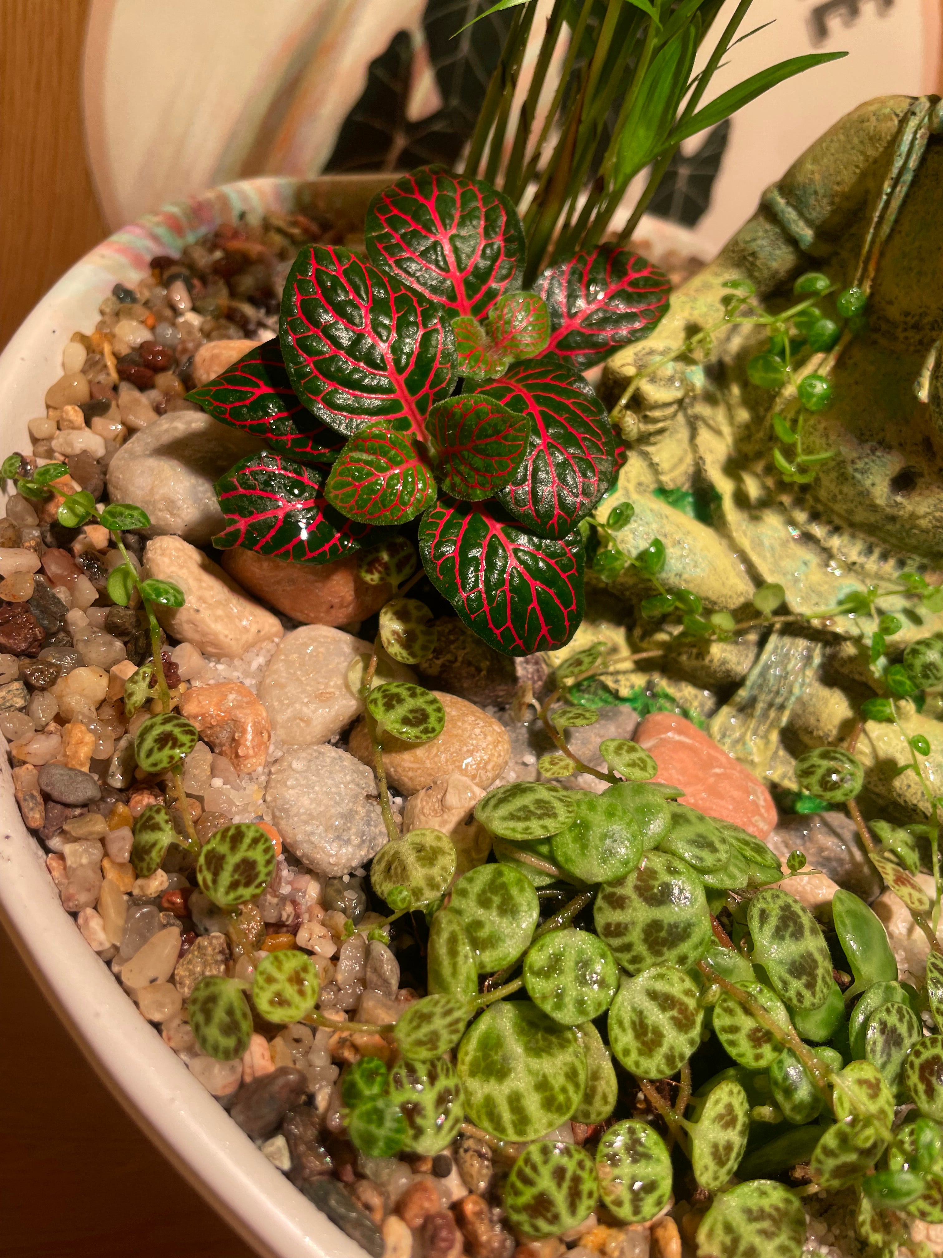 Ganesha Bowl
