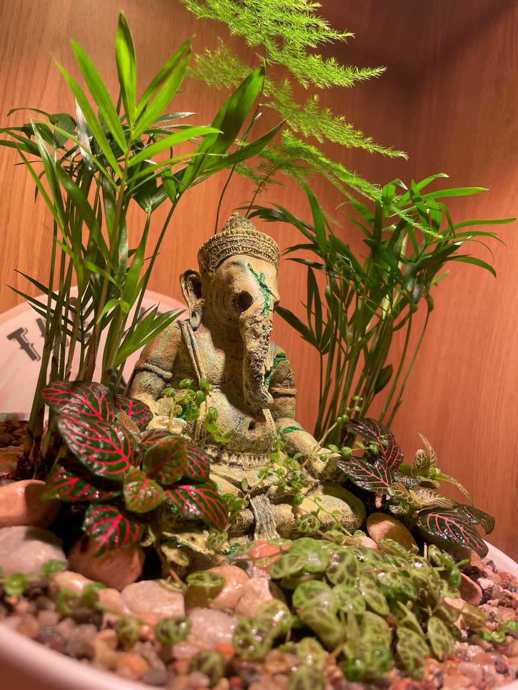 Ganesha Bowl
