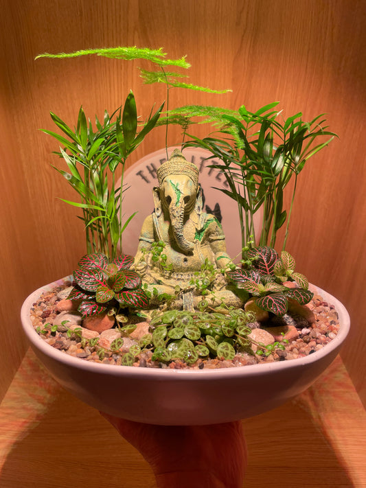 Ganesha Bowl