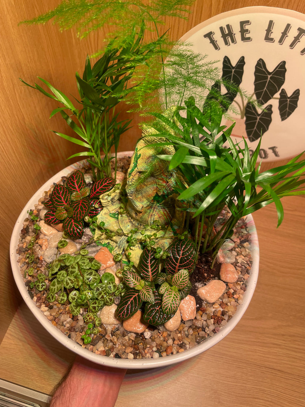 Ganesha Bowl