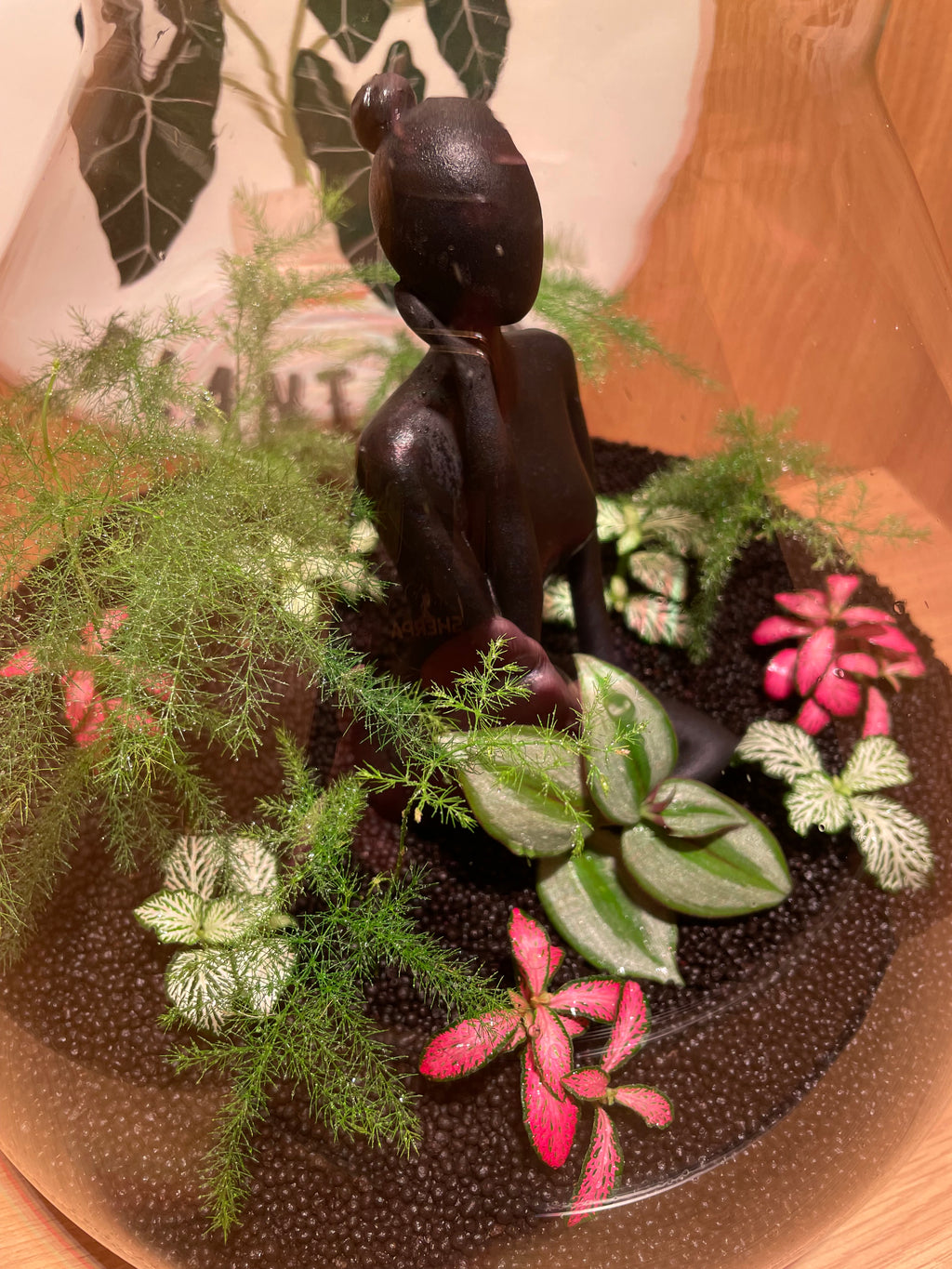 Thinking Lady Terrarium