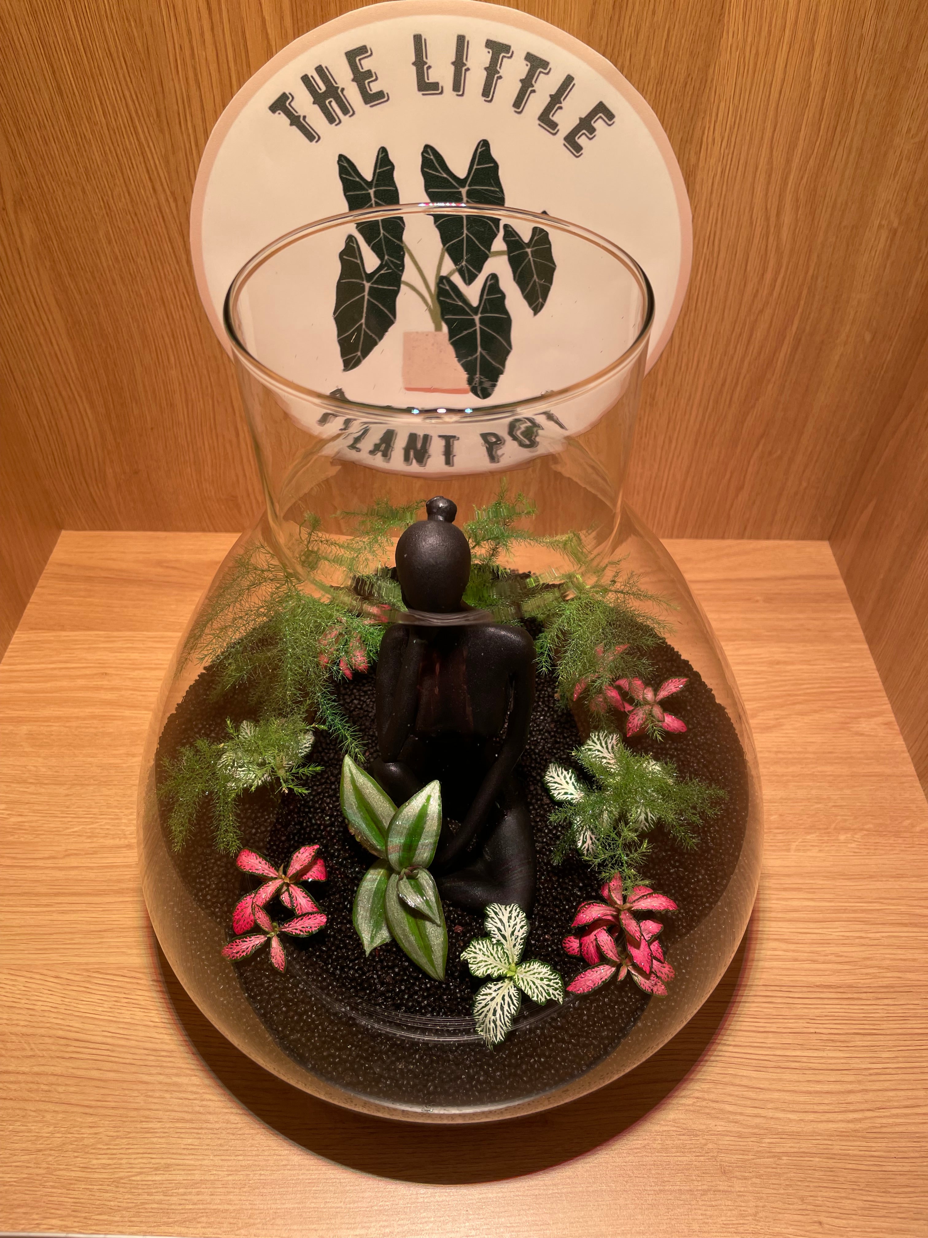 Thinking Lady Terrarium