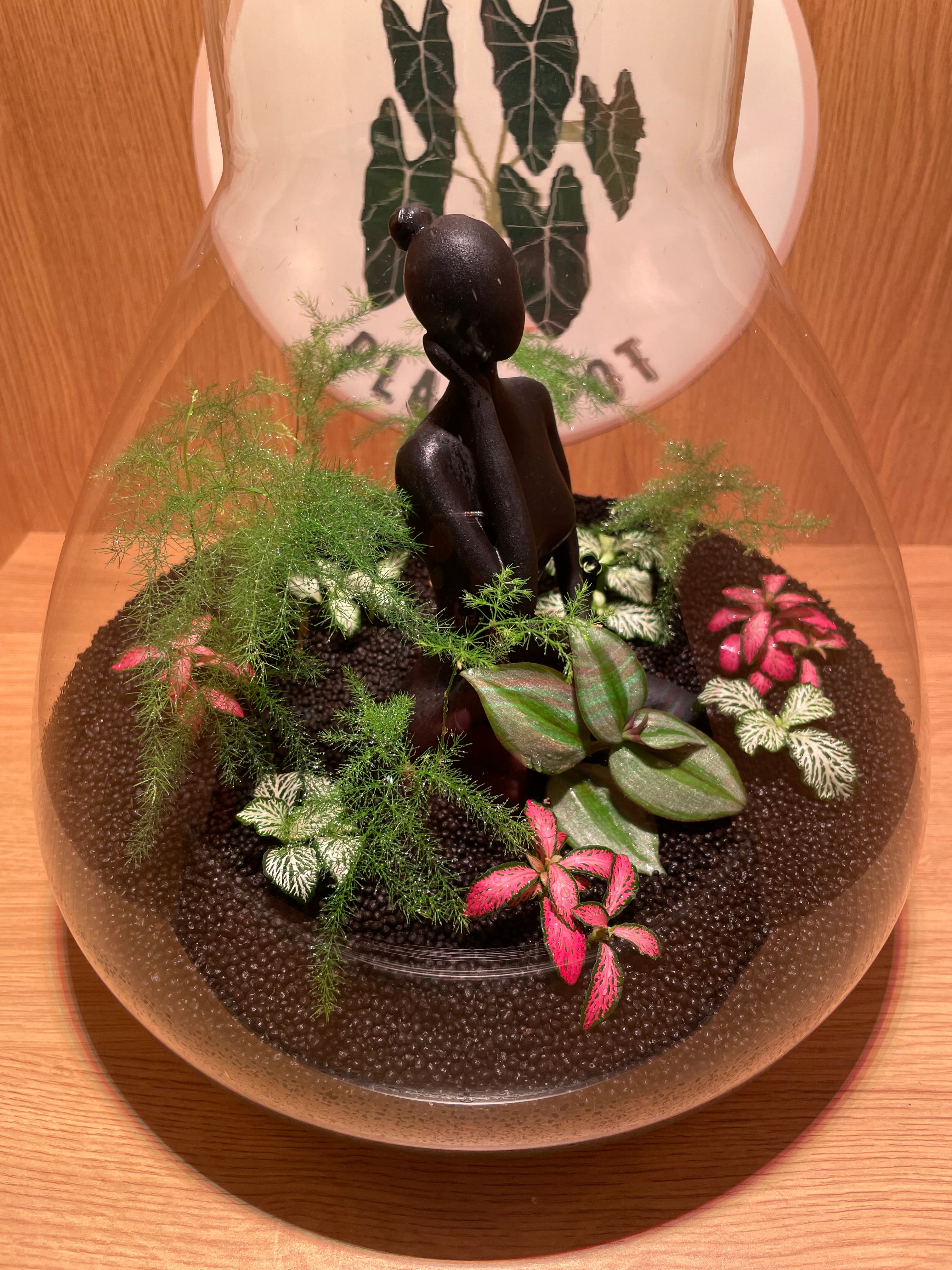 Thinking Lady Terrarium