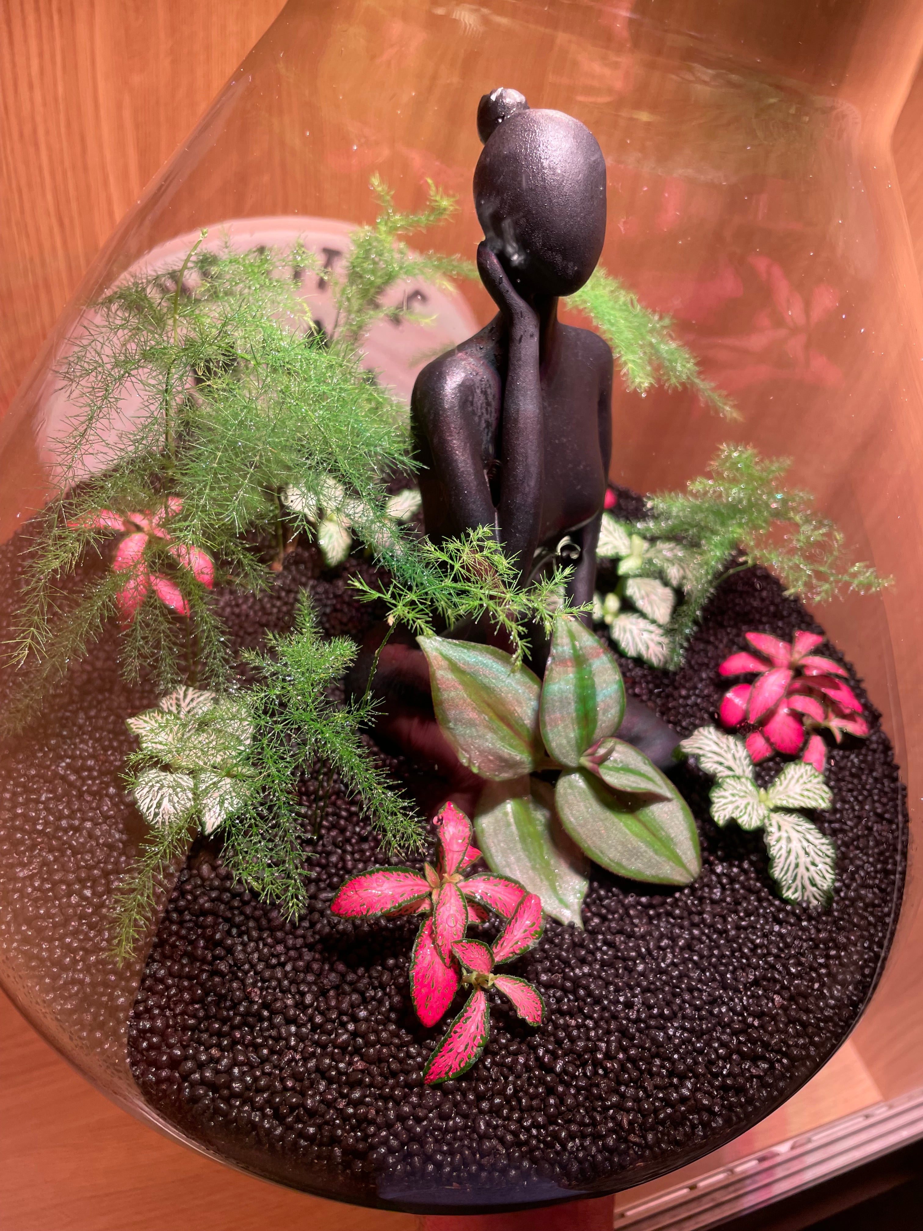 Thinking Lady Terrarium