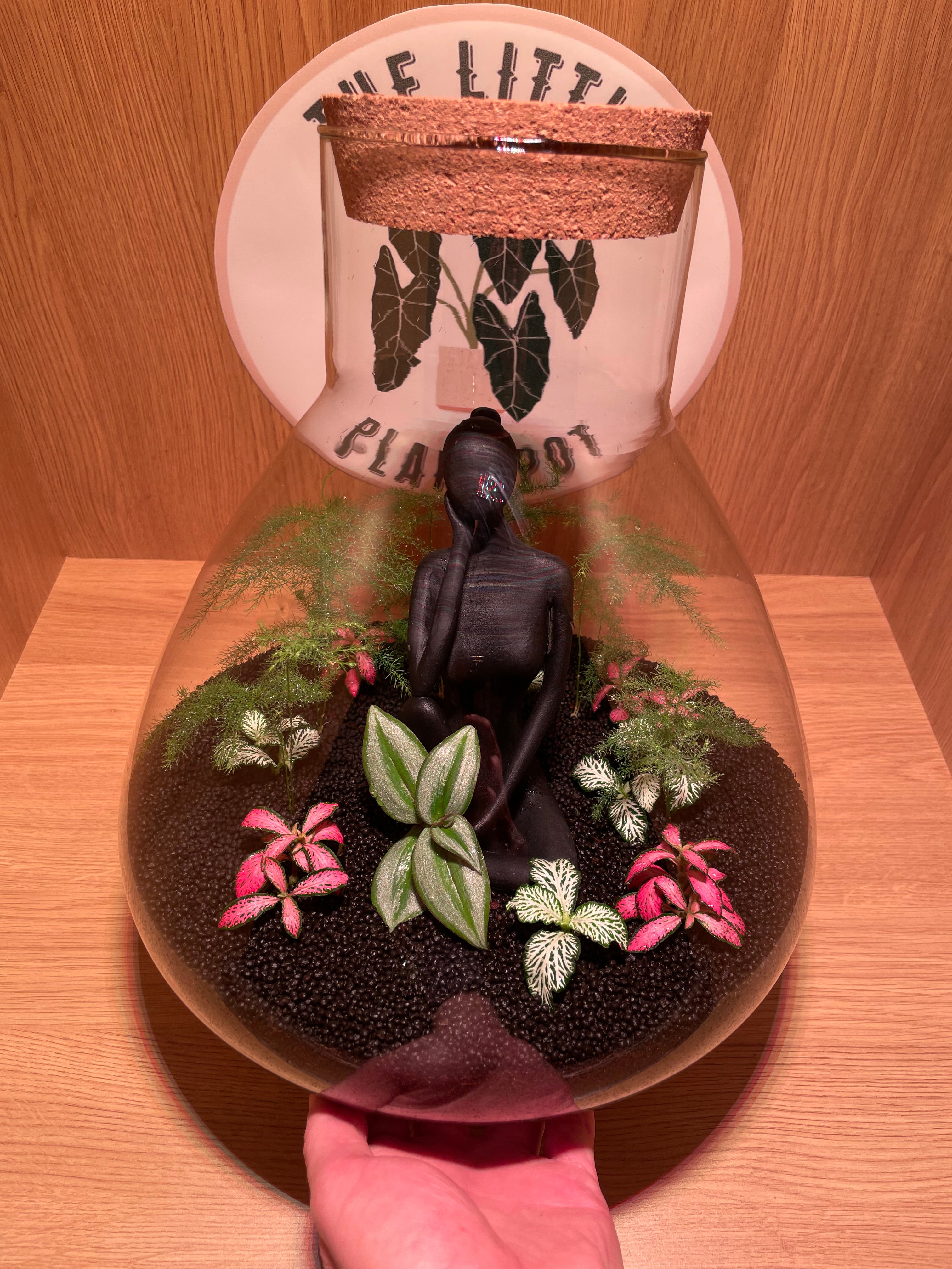 Thinking Lady Terrarium