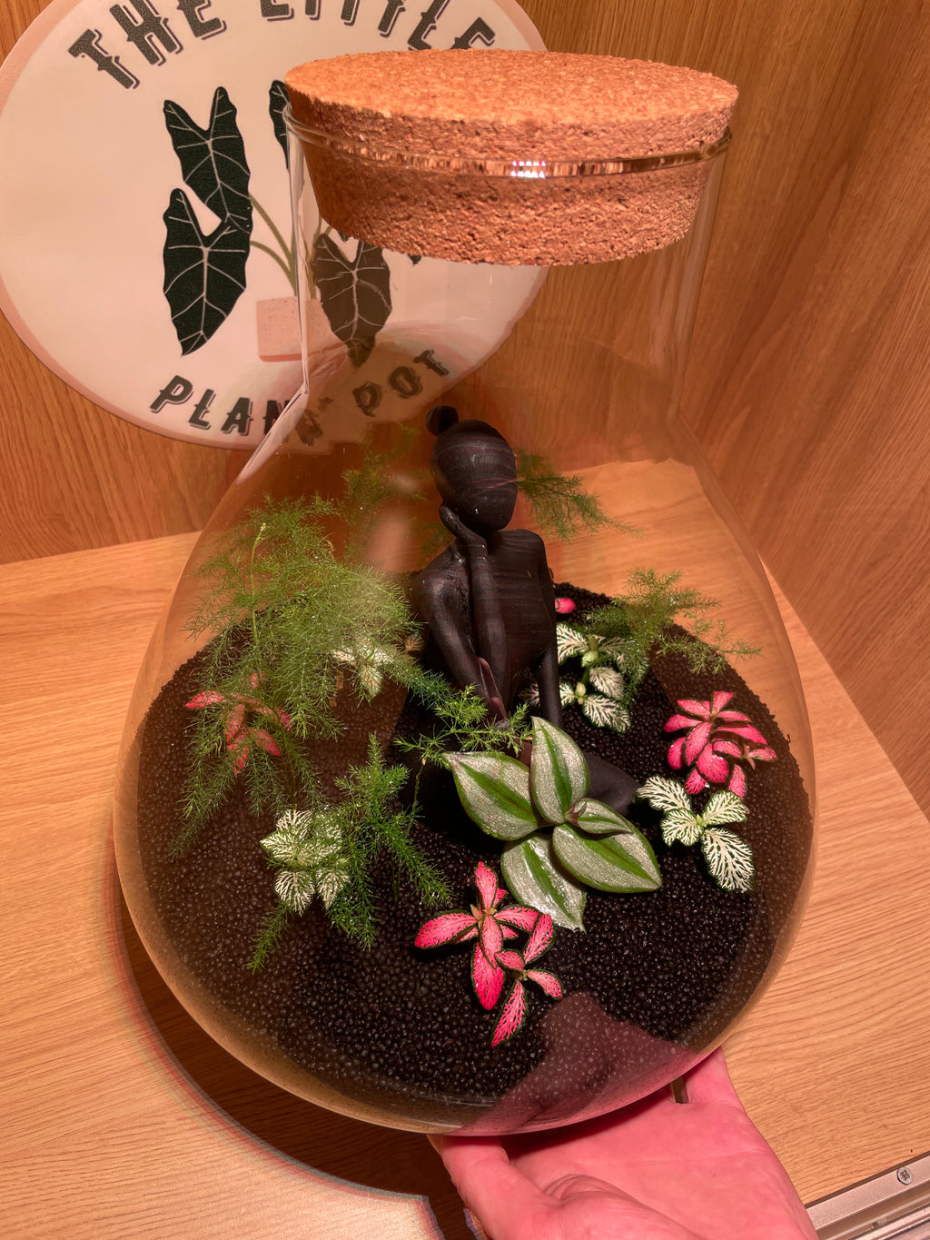 Thinking Lady Terrarium