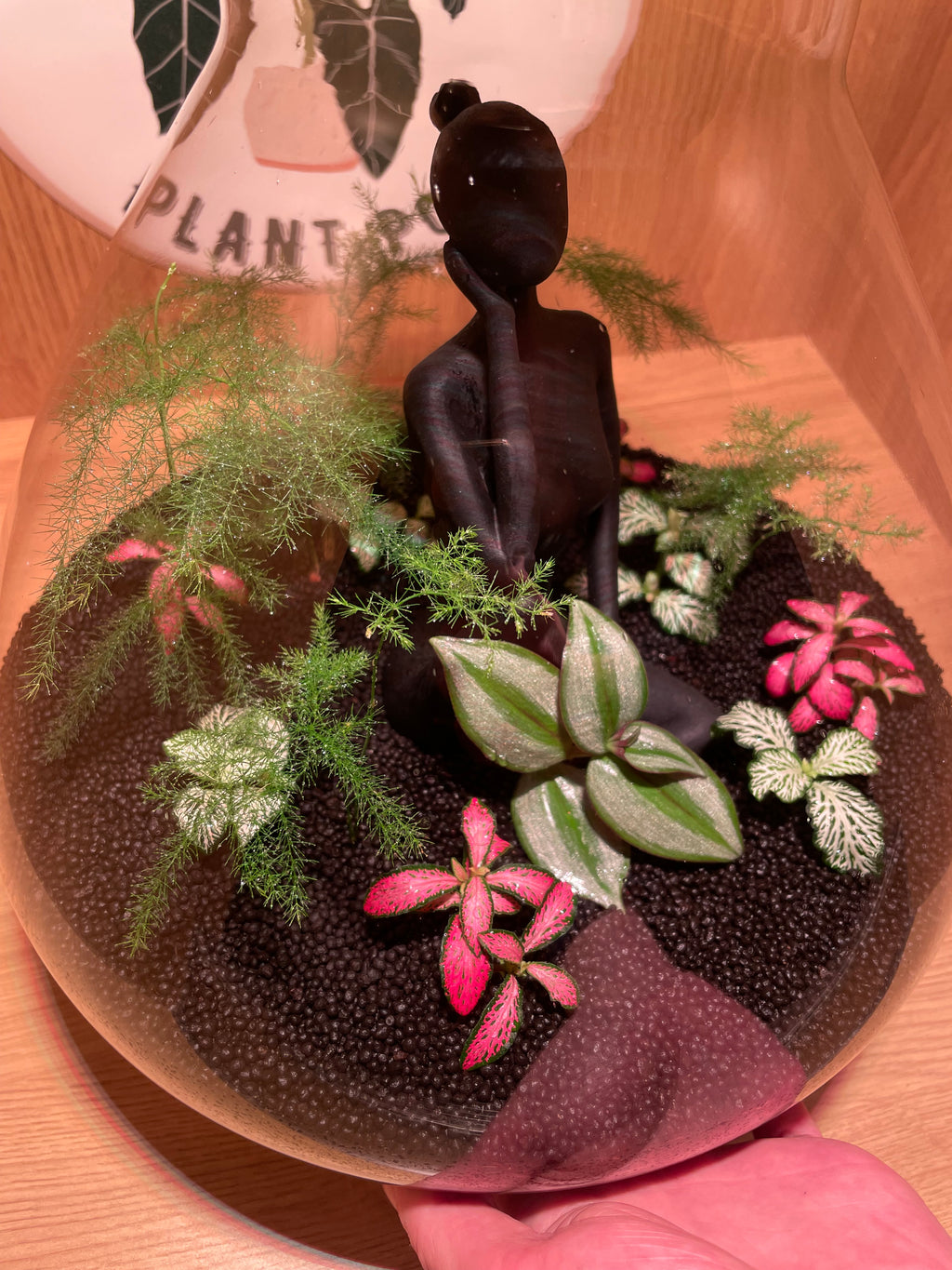 Thinking Lady Terrarium