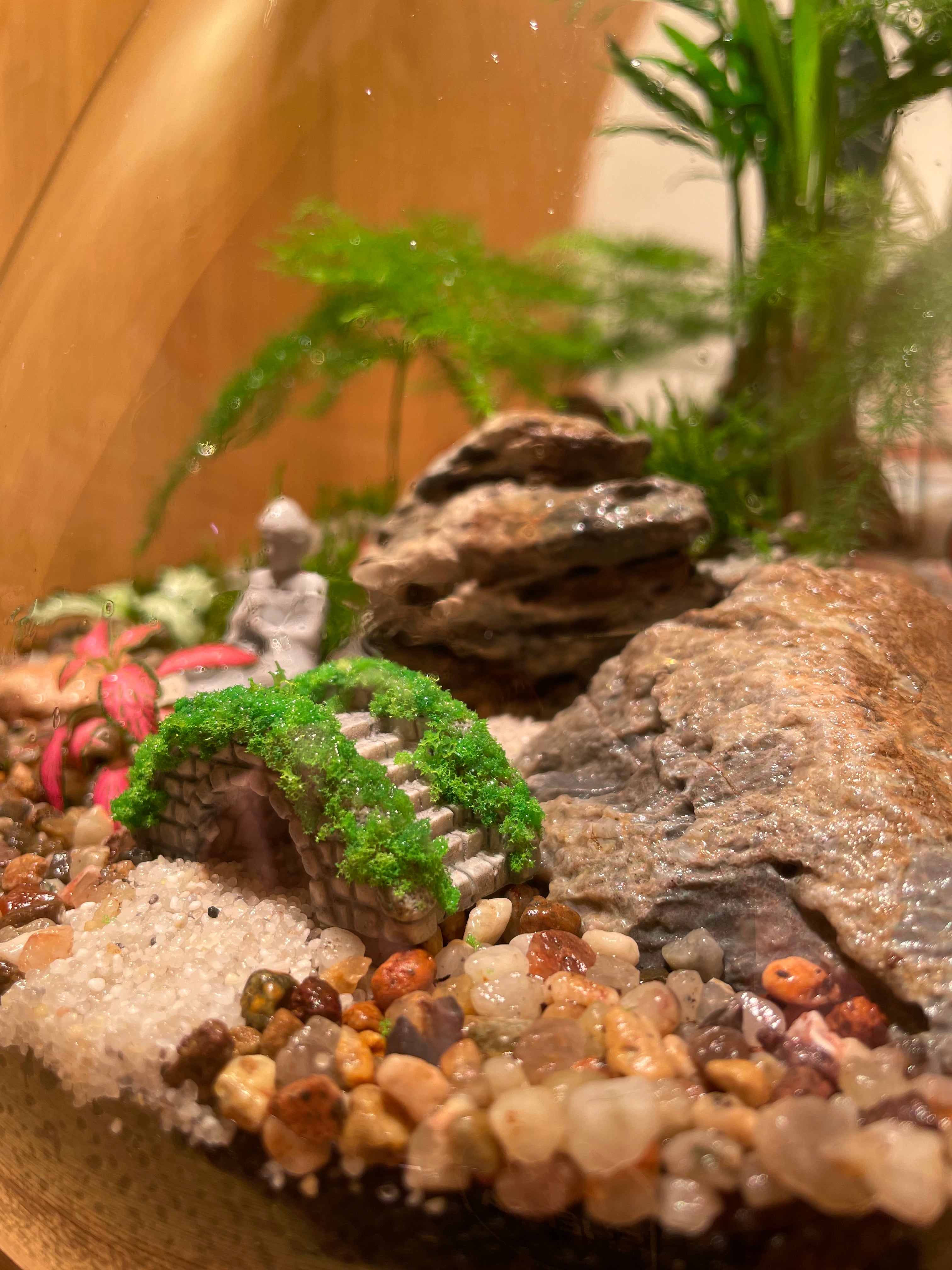 South East Asia Terrarium