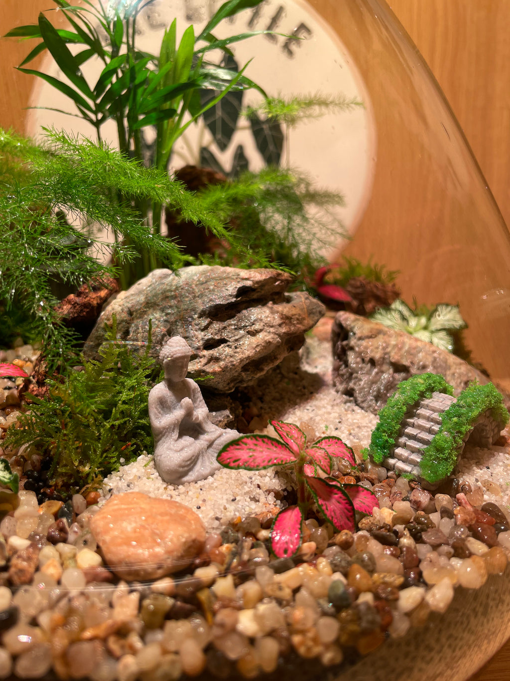 South East Asia Terrarium
