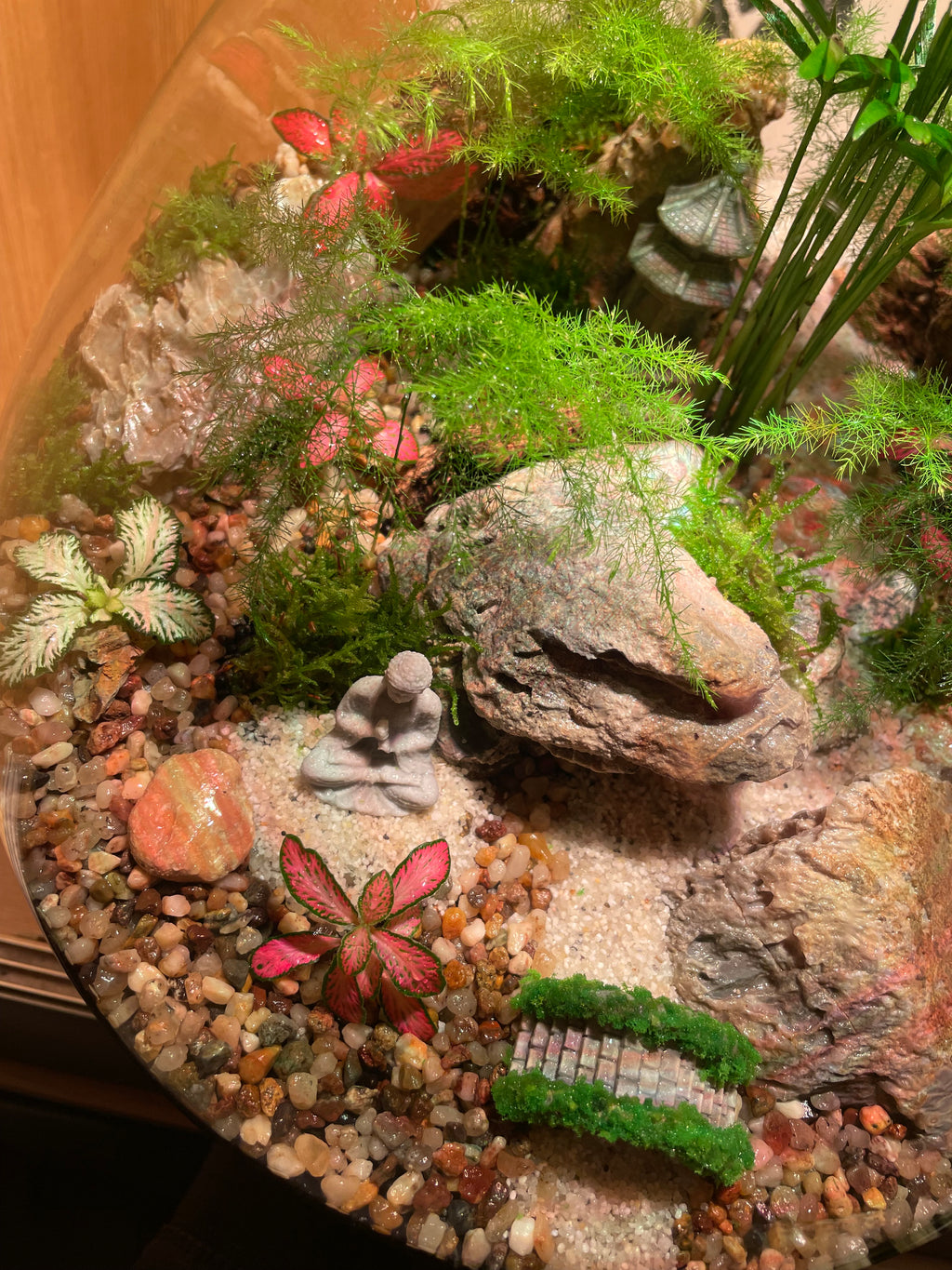 South East Asia Terrarium