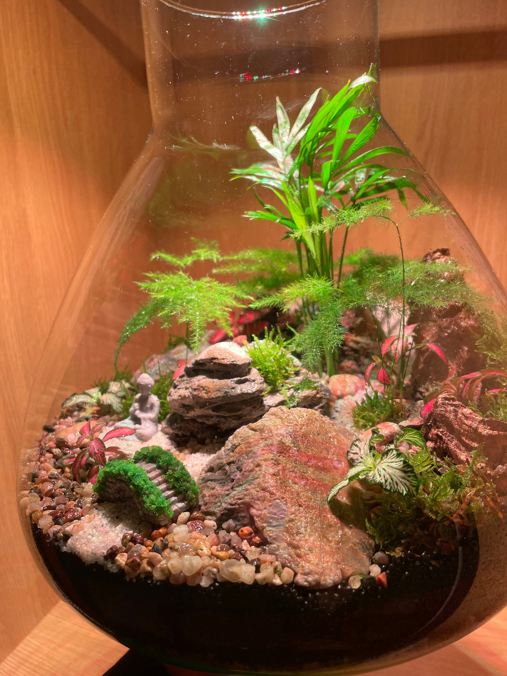 South East Asia Terrarium