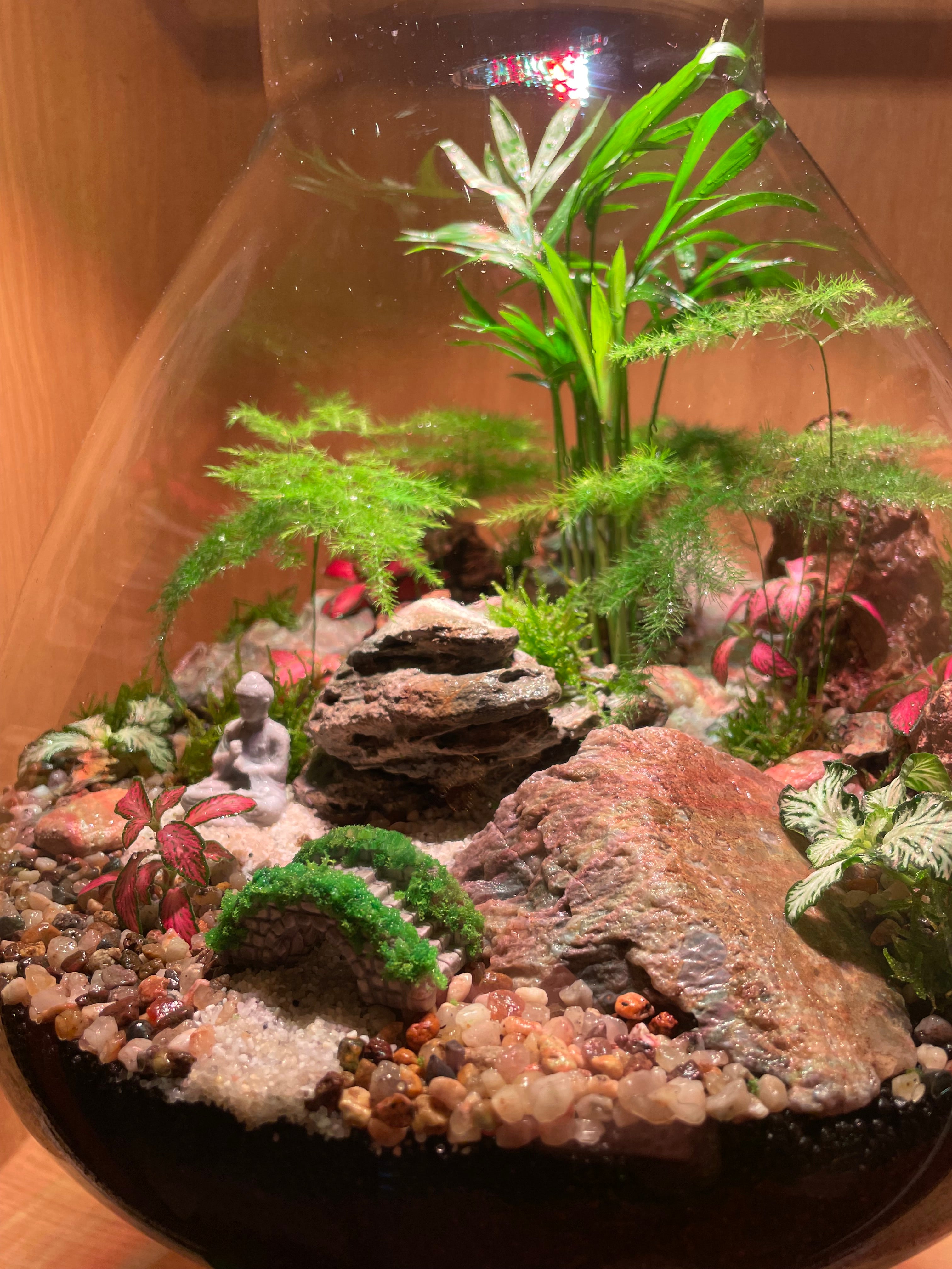 South East Asia Terrarium