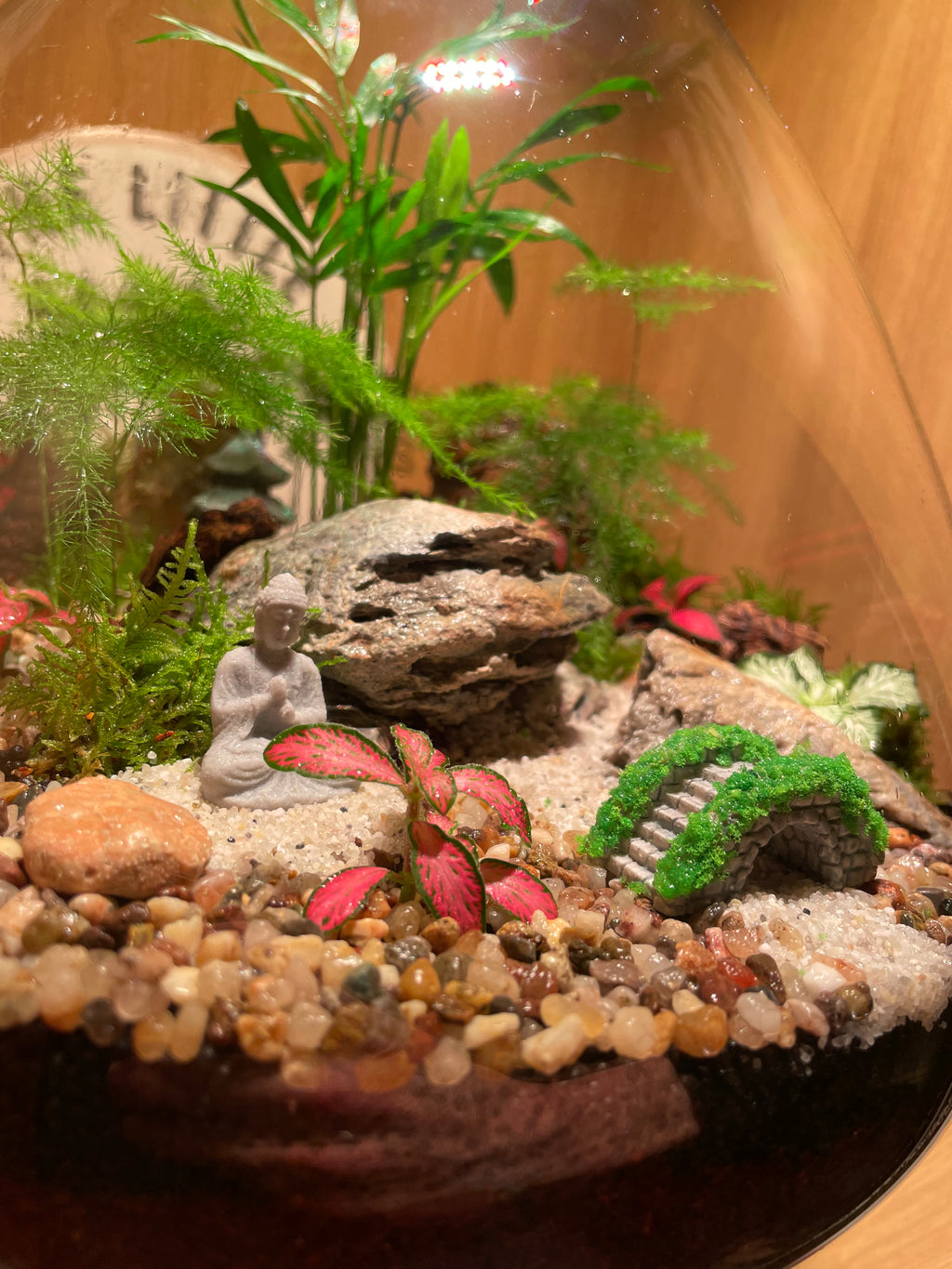 South East Asia Terrarium