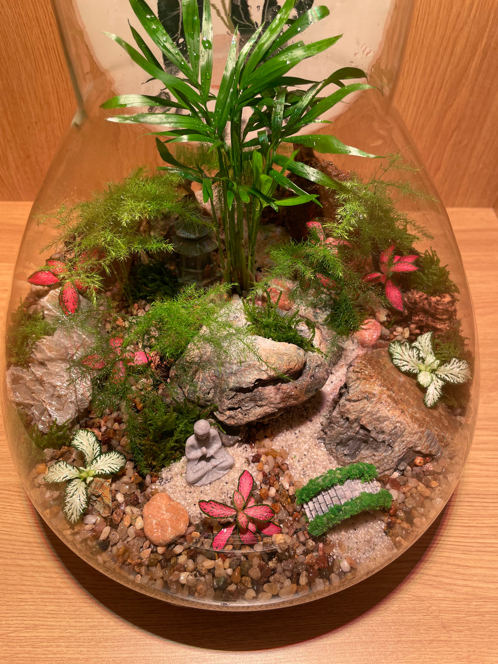 South East Asia Terrarium