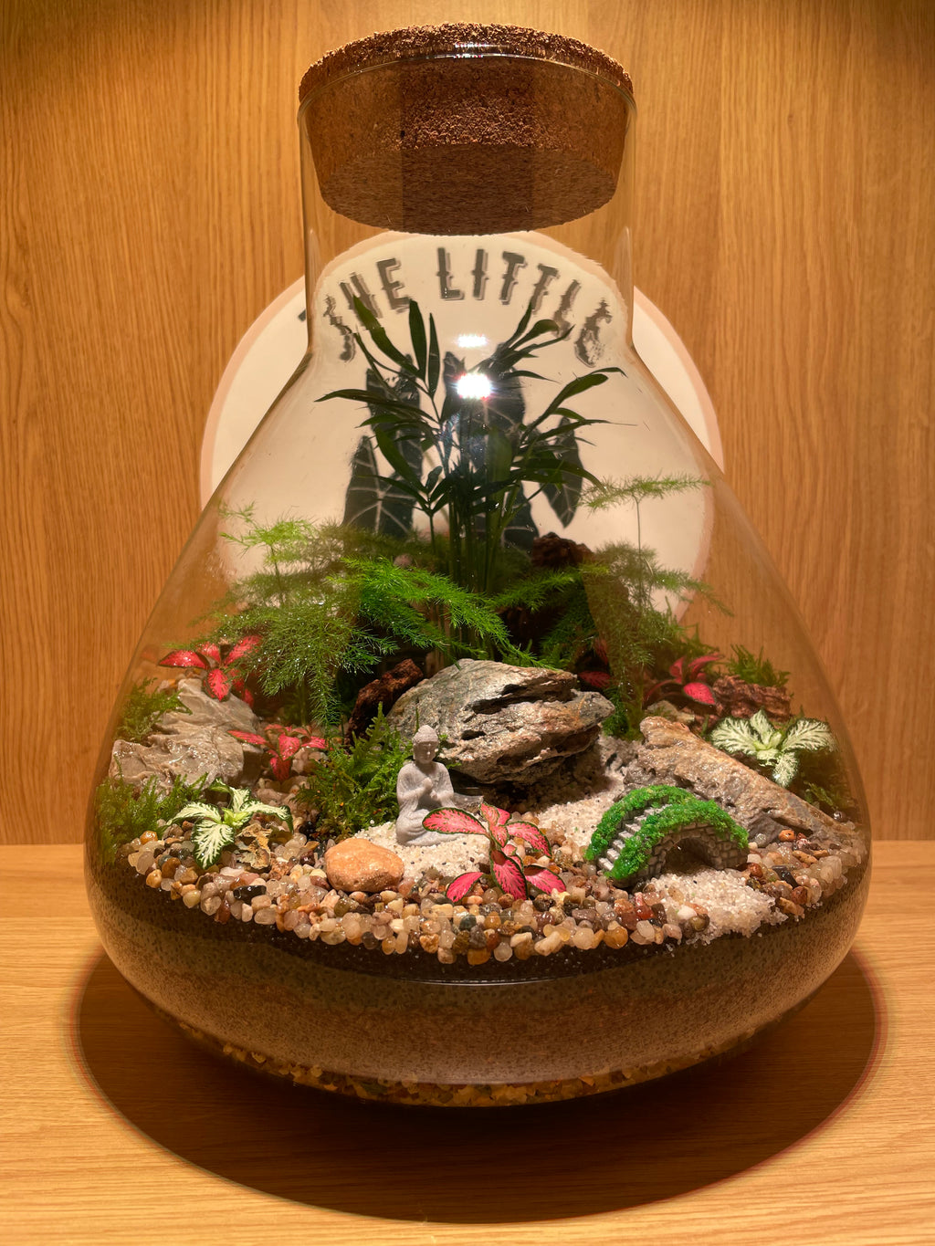 South East Asia Terrarium