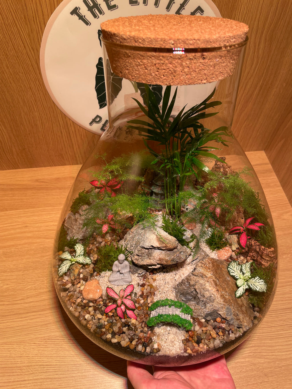 South East Asia Terrarium