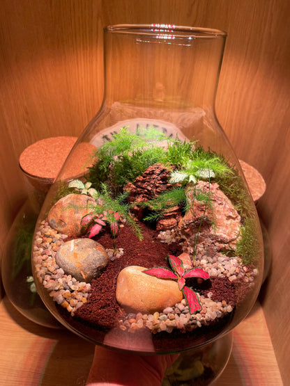 Cave Terrarium