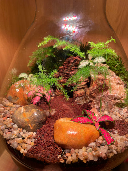 Cave Terrarium