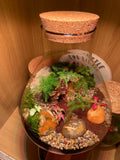 Cave Terrarium