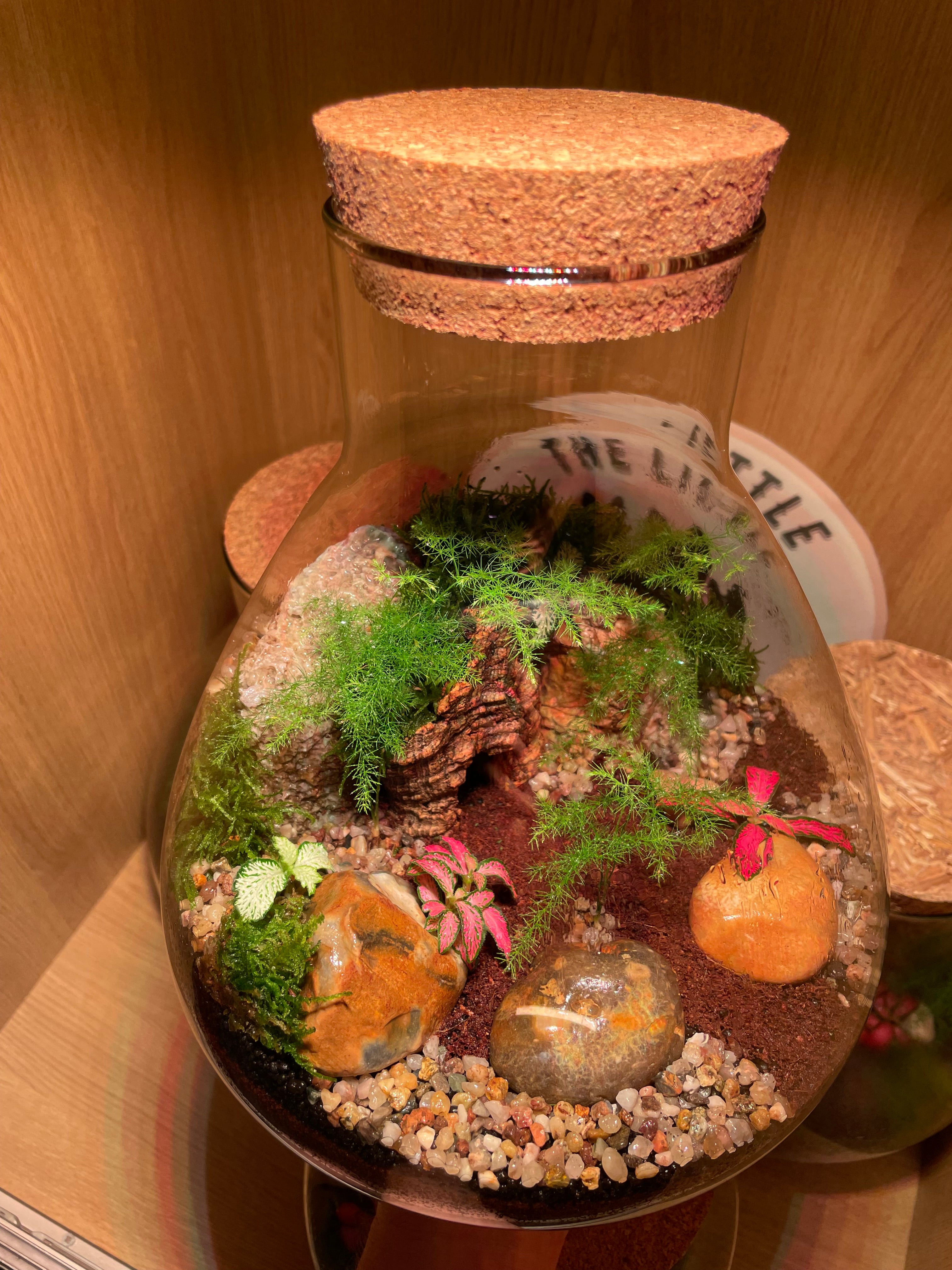 Cave Terrarium