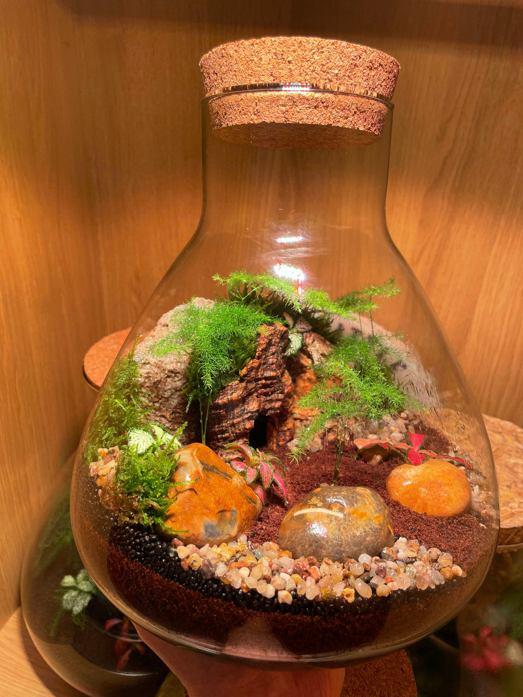 Cave Terrarium
