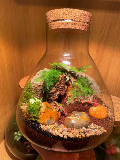 Cave Terrarium