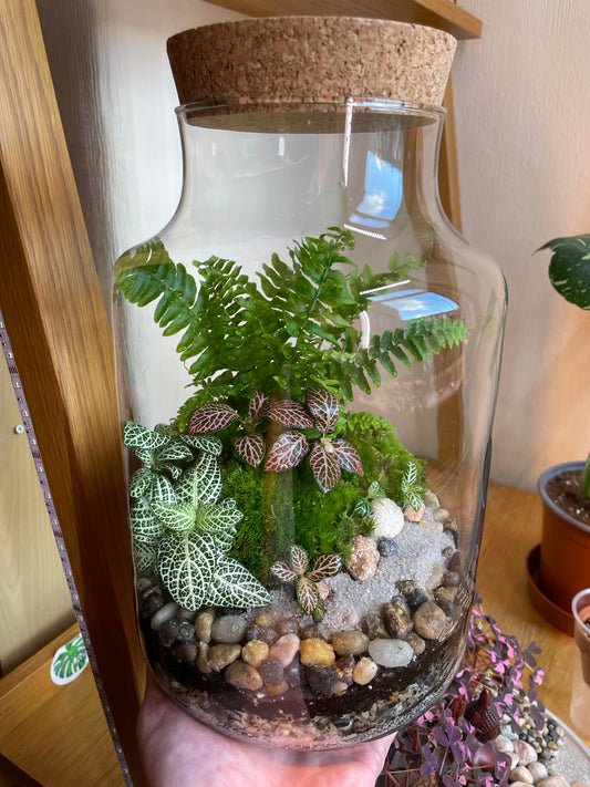 Forest Terrarium
