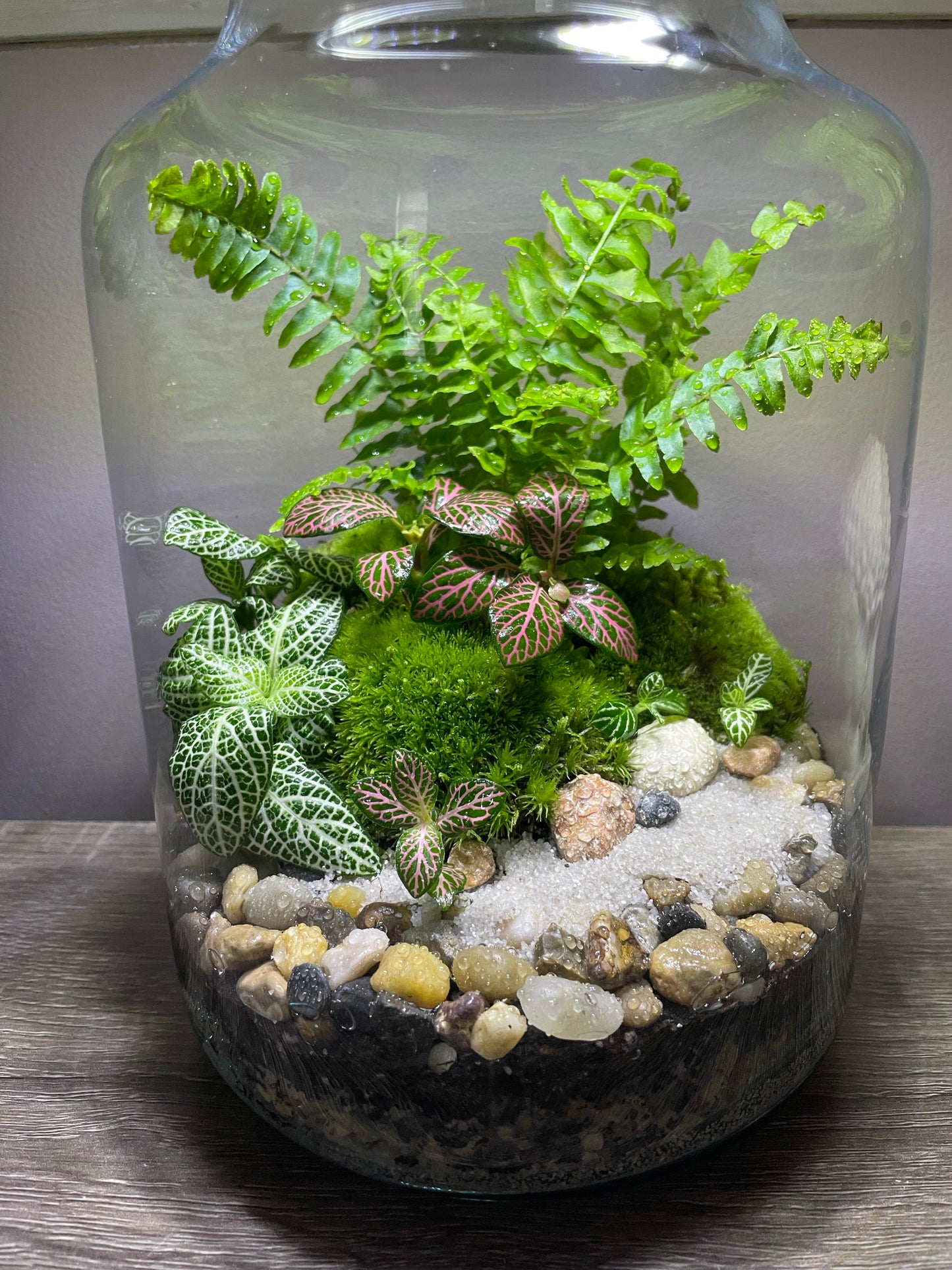 Forest Terrarium