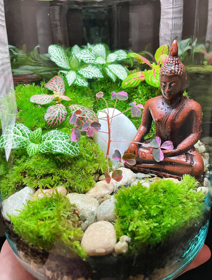 Peace Garden Terrarium