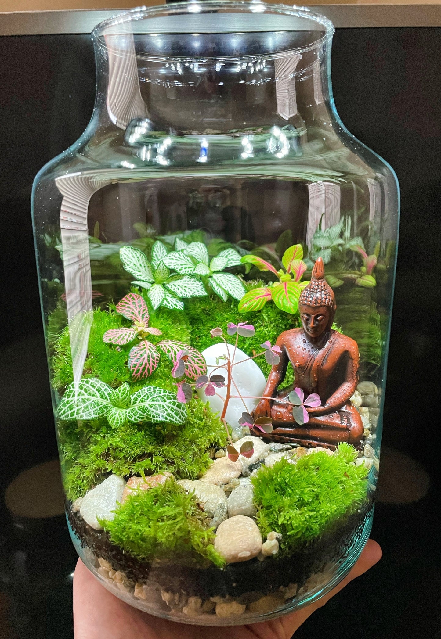 Peace Garden Terrarium
