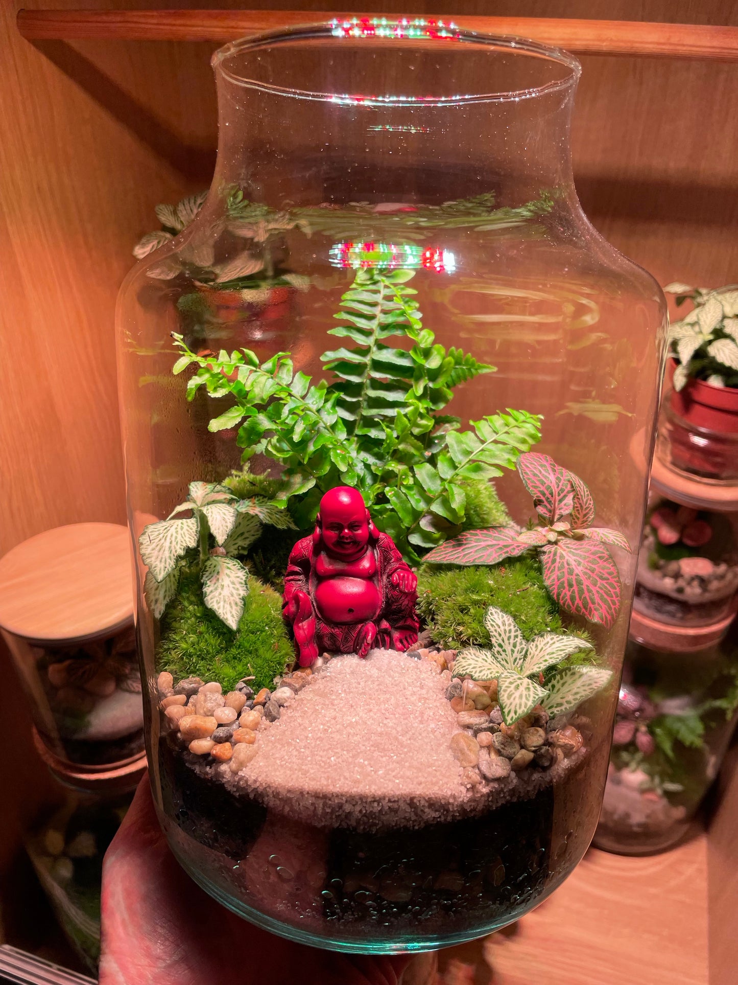Buddha Terrarium