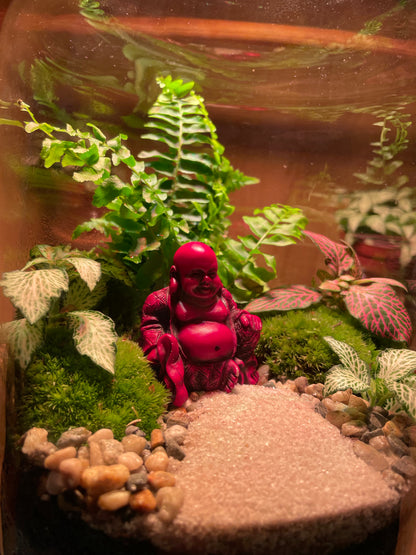 Buddha Terrarium