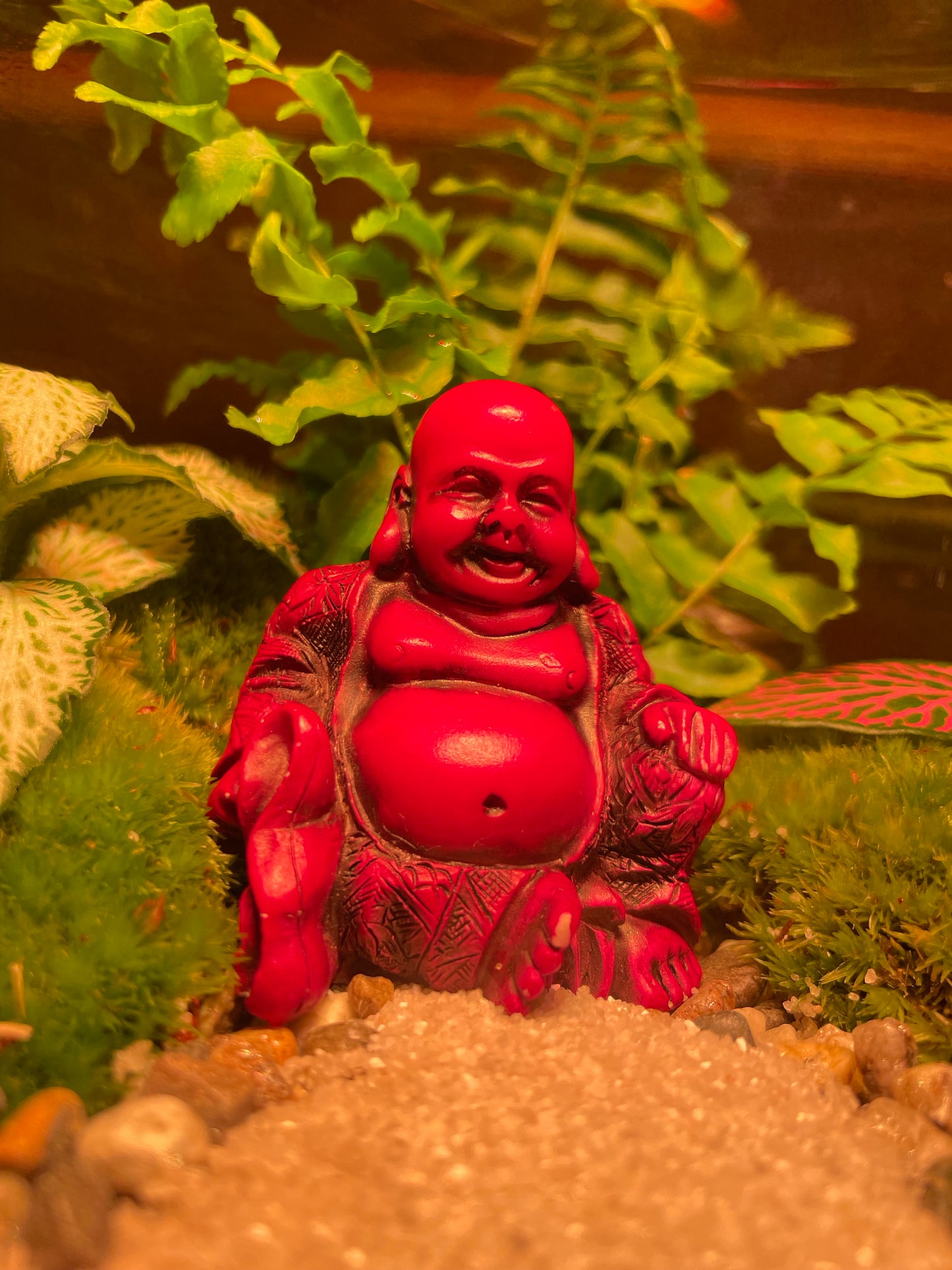 Buddha Terrarium