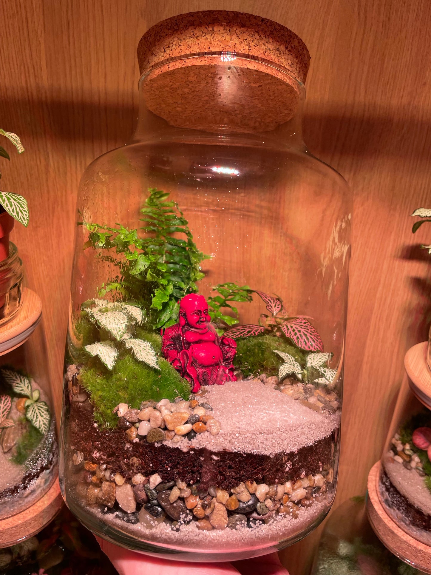Buddha Terrarium