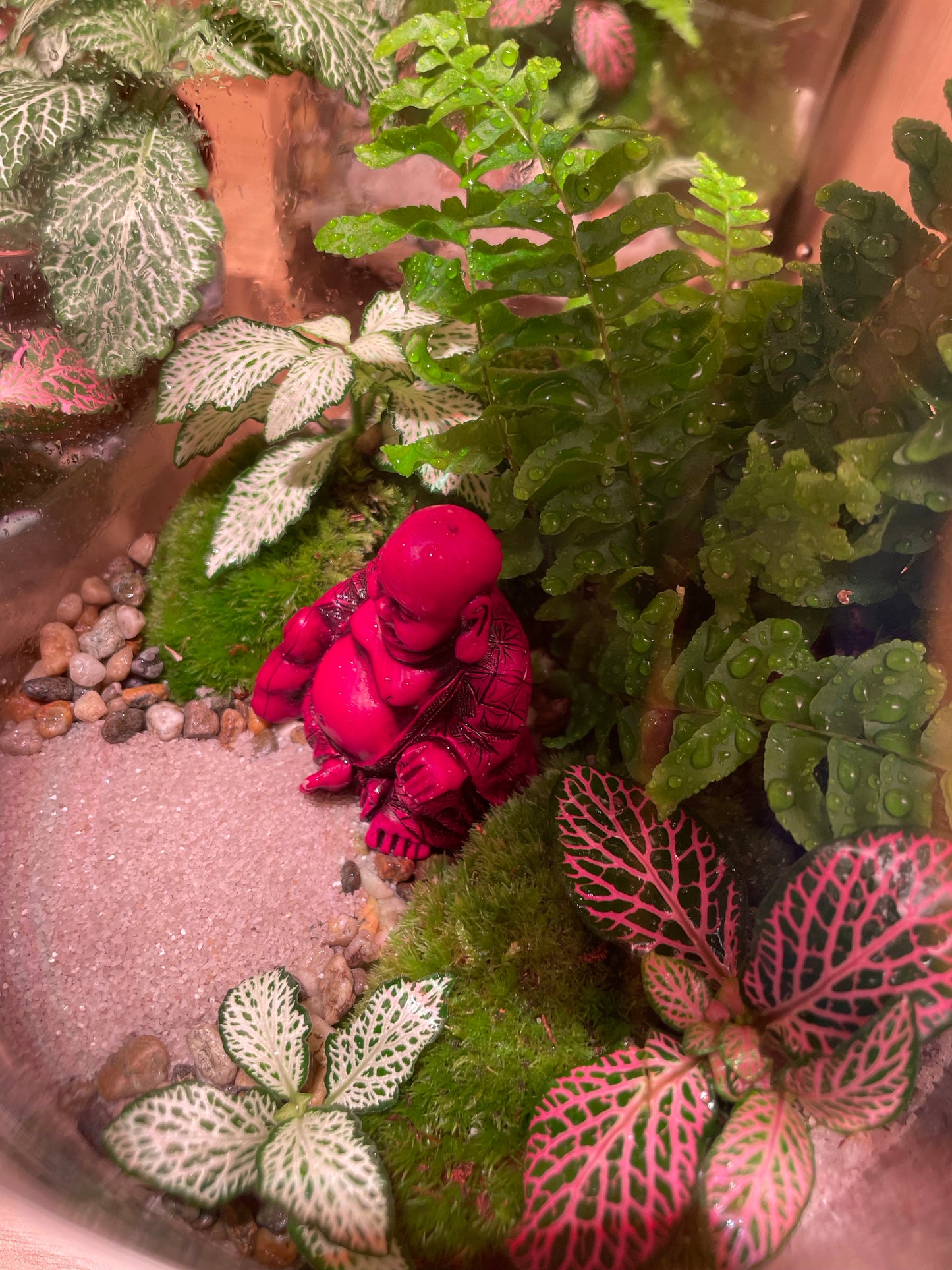 Buddha Terrarium