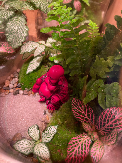 Buddha Terrarium