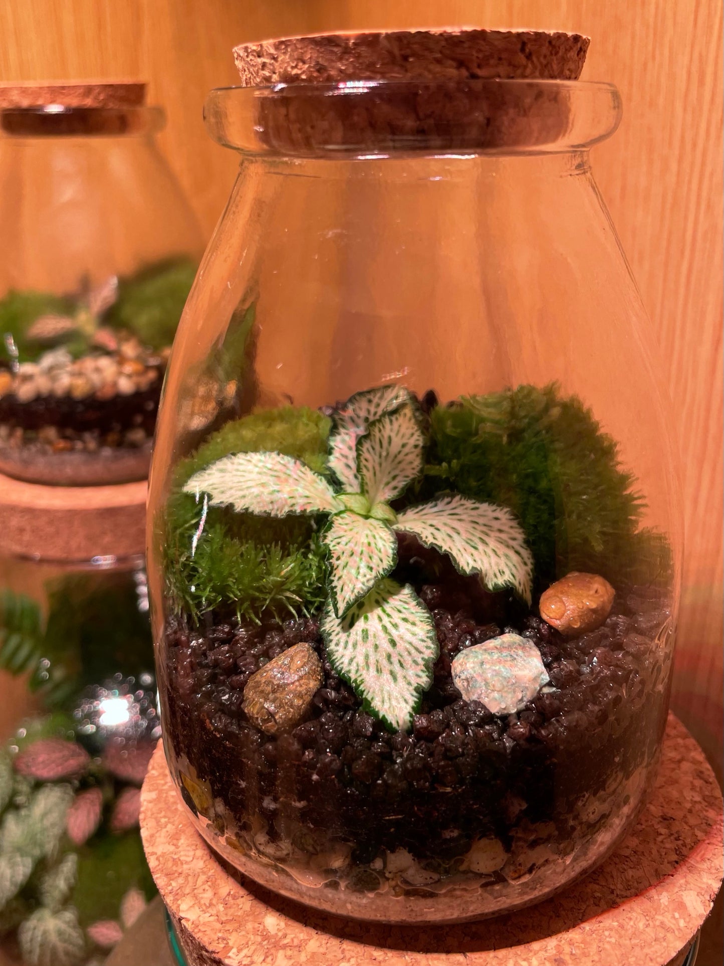 Mini Purple Beach Terrarium