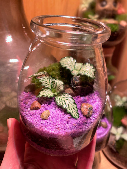 Mini Purple Beach Terrarium