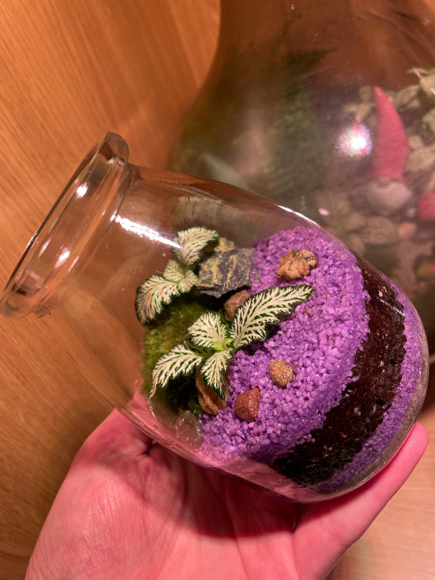 Mini Purple Beach Terrarium