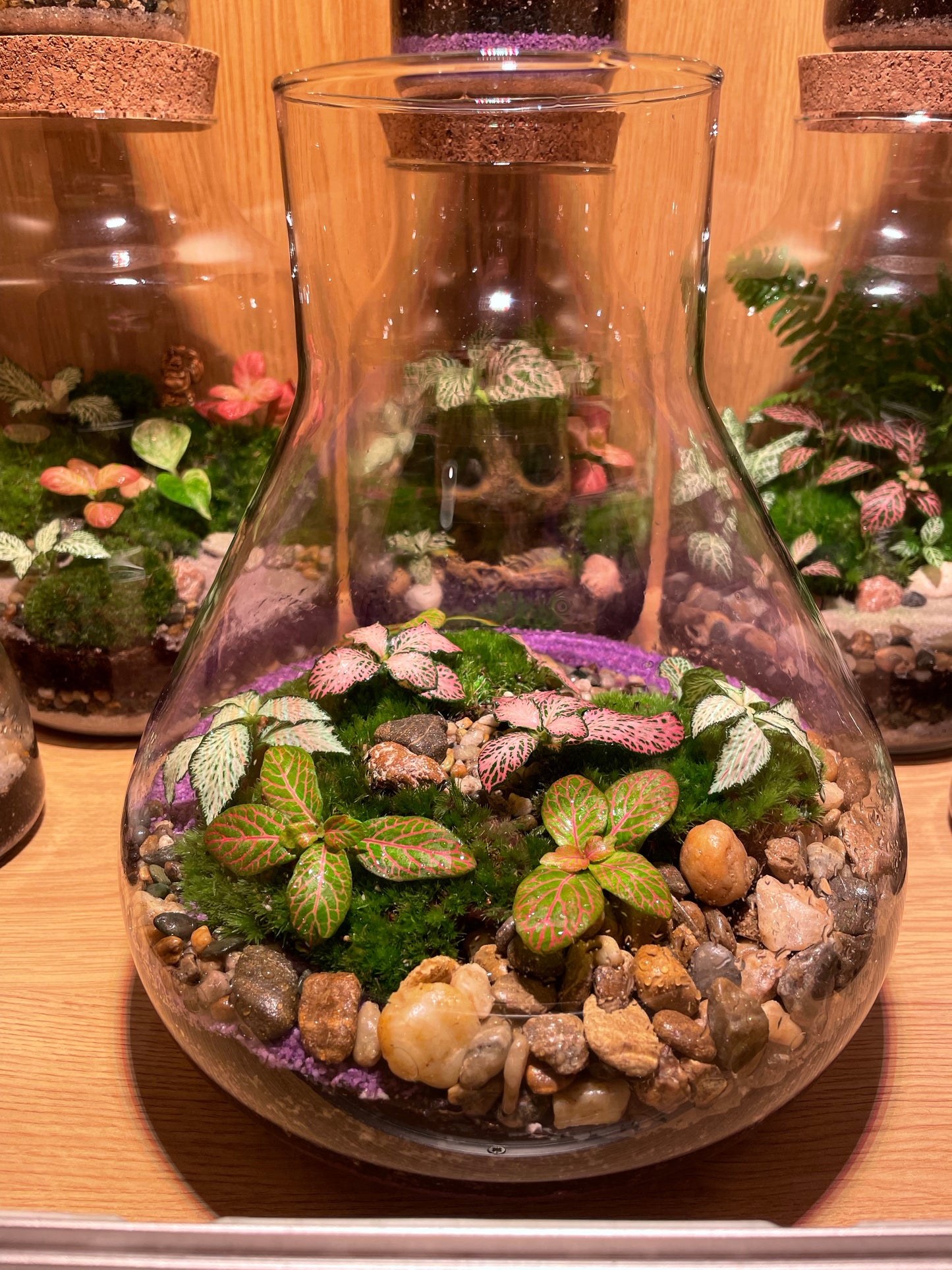 Tropical Terrarium
