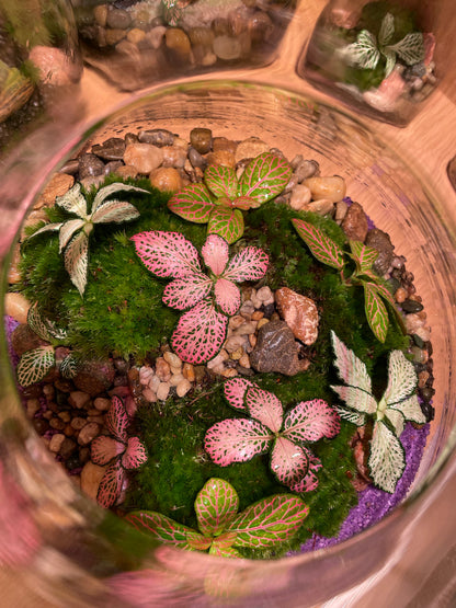 Tropical Terrarium
