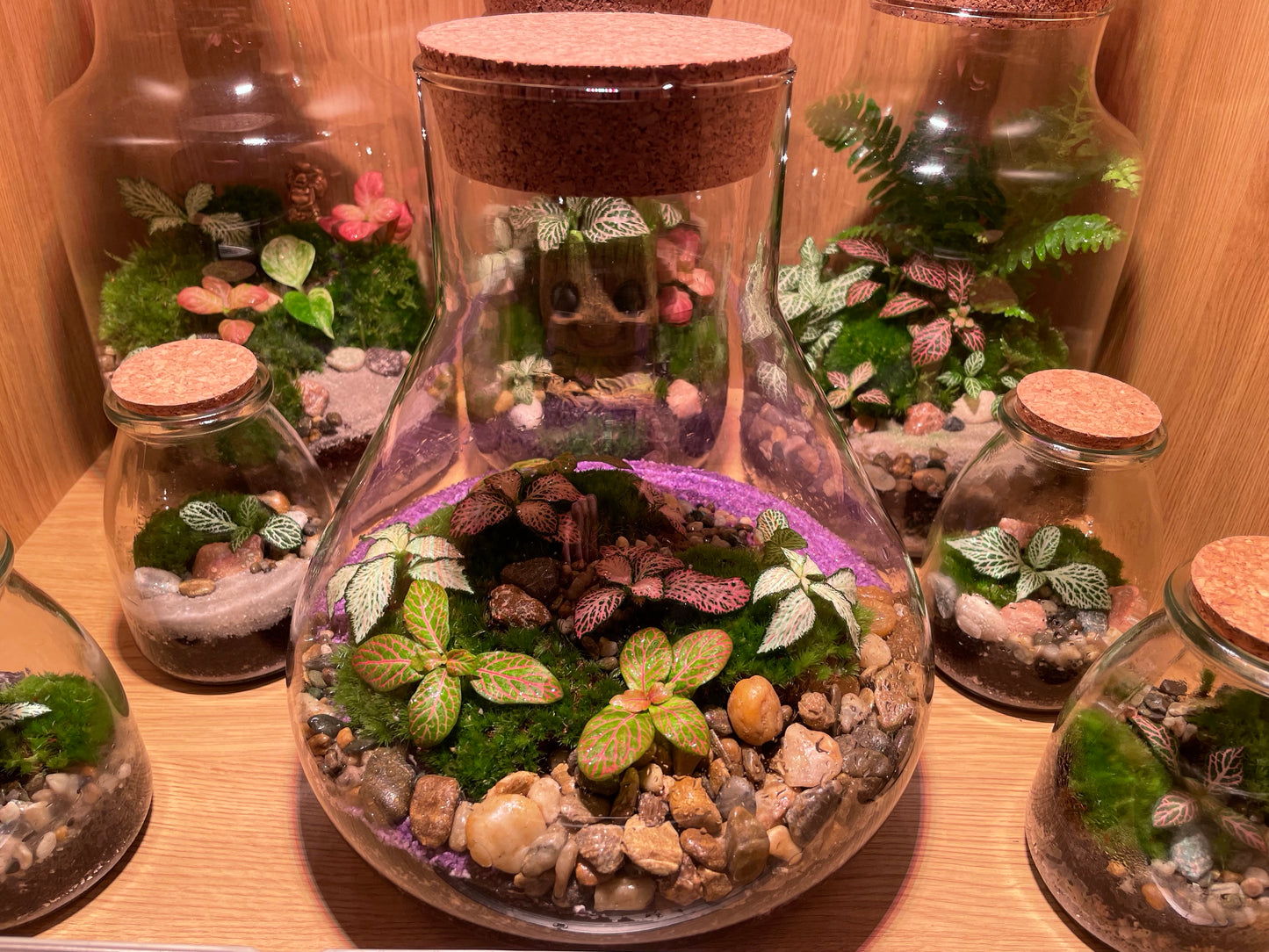 Tropical Terrarium