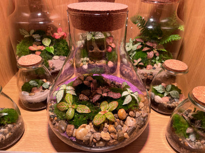 Tropical Terrarium