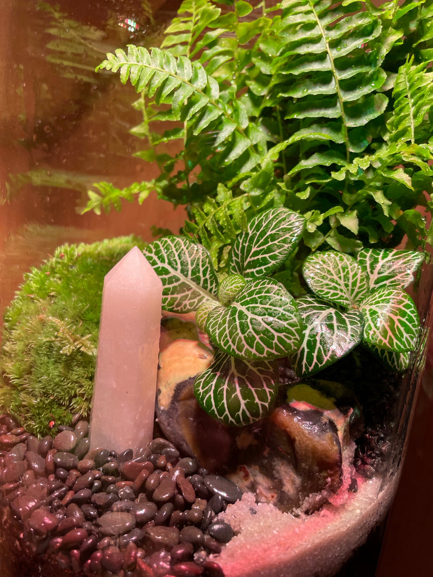 Rose Quartz Glass Garden